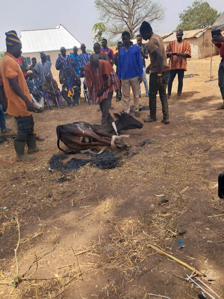 Gbeniyiri conducts cleansing ceremonies and curses anyone who starts violence.