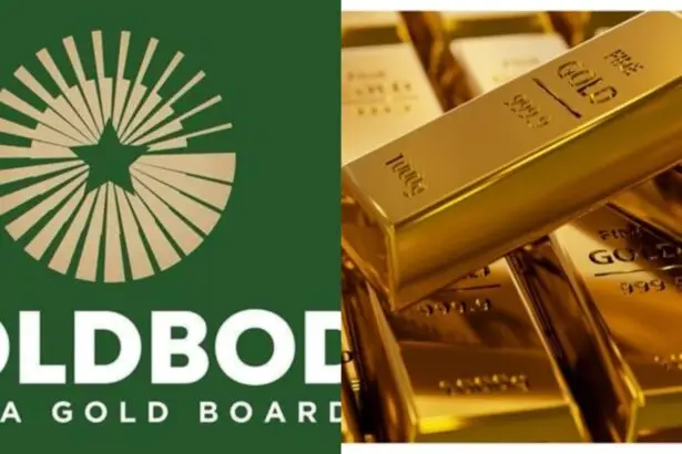 Prof. Peprah Warns That Gold Board’s Biggest Threat Is Financing, Not Gold
