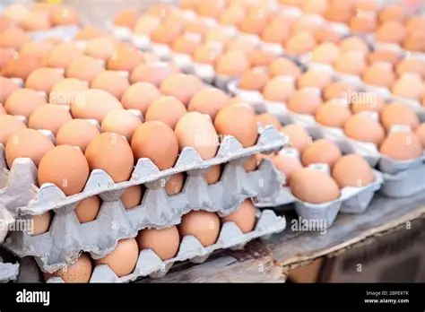 Koforidua egg suppliers urge Government action over trade suspension