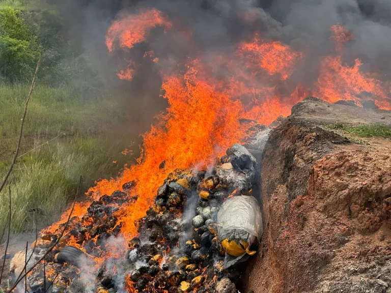 NACOC destroys 9.6 tonnes of cannabis and nearly 47kg of cocaine in nationwide anti-drug crackdown