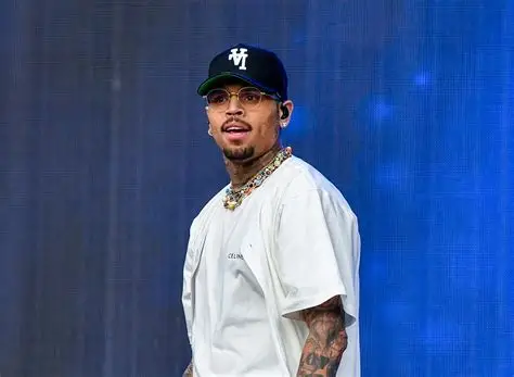 Chris Brown ordered to pay $12.9m over housekeeper dog attack