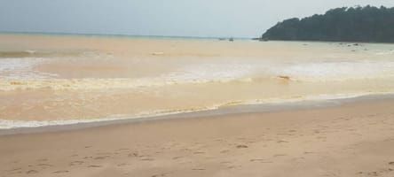 Galamsey threatens Ghana’s first Marine Protected Area, chief warns