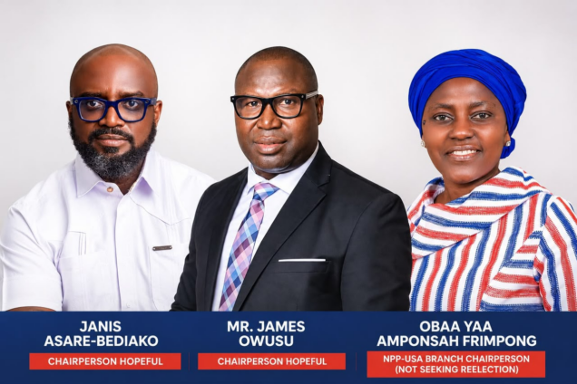 NPP-USA to elect new executives at 2026 delegates conference