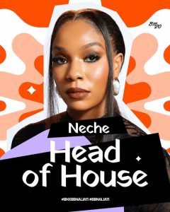 BBNaija Season 11 